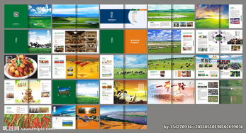 融合新疆風情與現代科技 新疆特產公司畫冊圖片軟件銷售方案